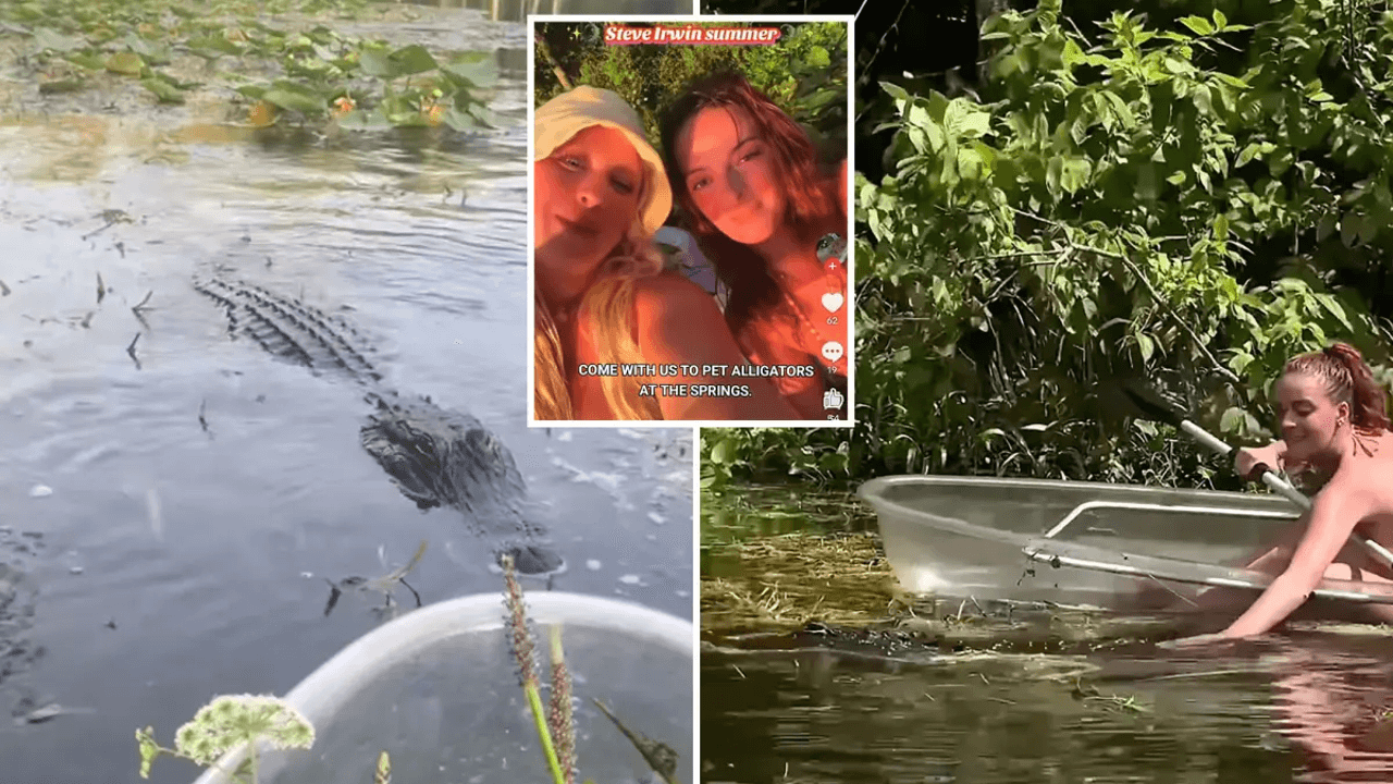 Dim-witted influencers filmed  themselves petting alligators days after deadly attack