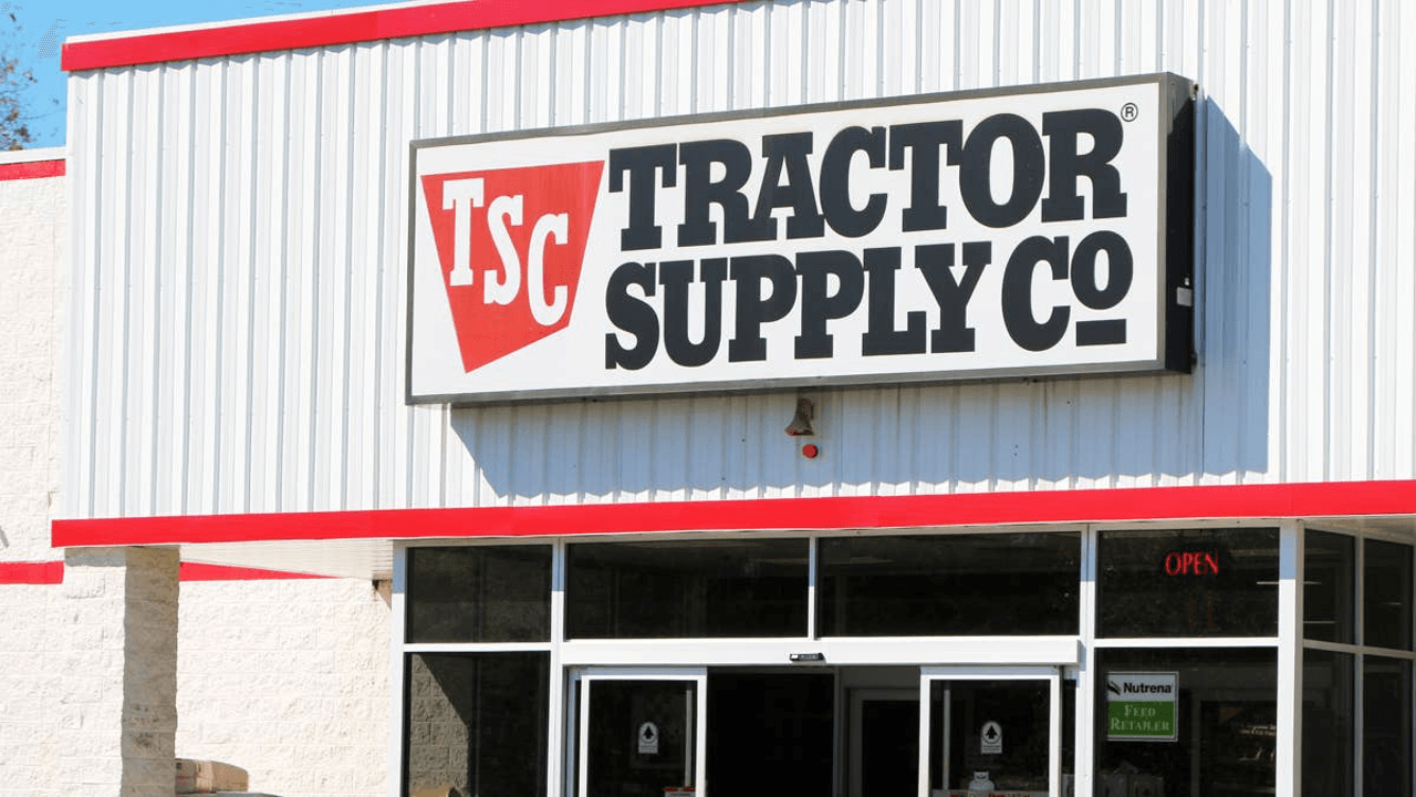 Tractor Supply's Backyard Splash Pad Looks Like Heaven for Water-Loving Dogs This Summer
