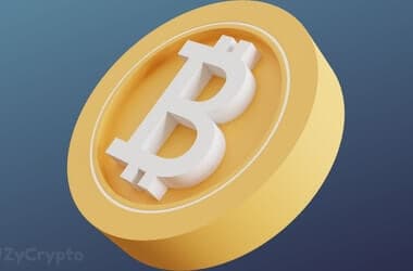 Bloomberg Analyst Urges 4-Year Bitcoin HODL Strategy as BitWise Survey Reveals Surging Institutional Demand