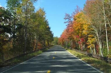 Nothing Beats A Scenic Drive Along These 6 Gorgeous Alabama Byways
